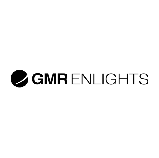 Export Area Director di GMR Enlights